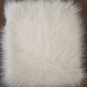 WEEKEND CLEAN OUT..Pottery Barn Faux Fur Pillow Cover